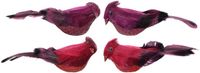 Decoris Kaemingk Vogel's van foam - 2 stuks