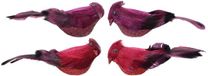 Decoris Kaemingk Vogel's van foam - 2 stuks