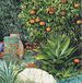 Susan Entwistle Art Monaco Garden II wenskaarten, 15 cm x 15 cm, Papier Multi kleuren, 15 x 15 x 1 cm