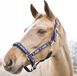 Horze Hamptons Hoofdband Pony Marineblauw