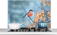 KitchenYeah Spatscherm keuken 100x65 cm - Roodborstje - Vogel - Aluminium