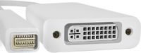 Qoltec 50517 DVI kabel 0,17 m Mini-DVI Wit