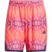 Adidas Korte Crazy Lite Graphic