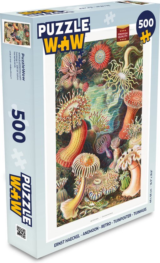 MuchoWow Puzzel Ernst Haeckel - Anemoon - Retro - Actinae - Legpuzzel - Puzzel 500 stukjes