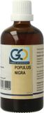 GO Gemmo Oplossingen GO Populus nigra bio 100 Milliliter
