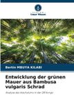 Entwicklung OmniScriptum SRL Entwicklung der grünen Mauer aus Bambusa vulgaris Schrad