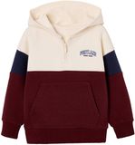 Vertbaudet sweater met capuchon voor jongens met colourblocking