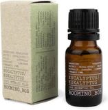 Booming Bob Essential Oil Eucalyptus 10ml