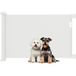 Baby Dan Barrière de Sécurité Extensible pour Escalier 0-136cm, 87cm de Hauteur, Blanc