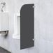 Cloison murale pour urinoirs pour hommes, Cloison de séparation pour urinoirs, Noir