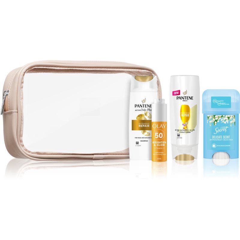 Pantene Travel Set