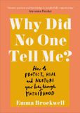 Why Vermilion Why Did No One Tell Me? Paperback