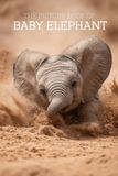 The Picture Book of Baby Elephant