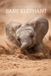 The Picture Book of Baby Elephant