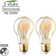 Lybardo 2 stuks Sensor lamp LED E27 met dag-nacht sensor Filament Gold 4W 2500K Warm Wit 200 lumen