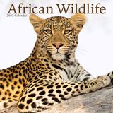 Avonside African Wildlife Kalender 2027