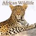 Avonside African Wildlife Kalender 2027