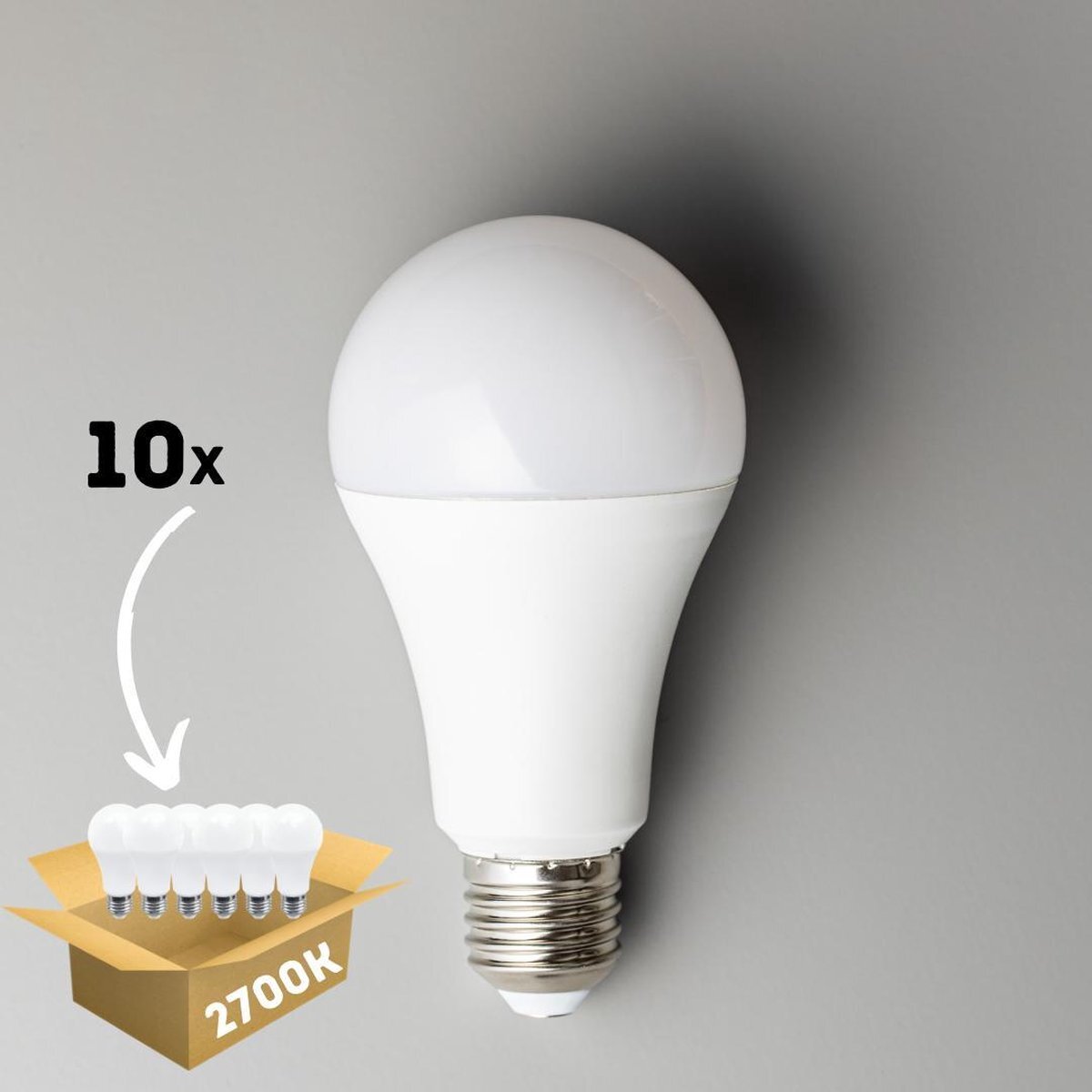 Proventa LongLife LED Lampen met grote E27 fitting - Voordeelverpakking - 10 x LED lamp