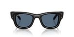 RAY-BAN Unisex Evolution Full Rim - Zonnebril, Zwart - Donkerblauw, 50 mm