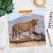 Red Robin Safari Kalender 2027