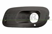 PRASCO Lüftungsgitter, Stoßfänger FT1242134 vorne links | Compatibel met: FIAT PANDA