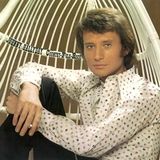 Universal Music Nederland Johnny Hallyday - Country, Folk, Rock (2 LP)