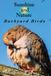 Sunshine and Nature: Backyard Birds Hardcover