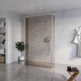 Fortifura Galeria Vrijstaande Inloopdouche - 120x200cm - Rookglas - antikalk - 8mm veiligheidsglas - 2 zijwanden - 40cm - wandsteunen en hoekprofielen - PVD - geborsteld RVS
