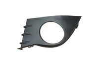 PRASCO Lüftungsgitter, Stoßfänger RN3252124 vorne links | Compatibel met: RENAULT CLIO III, CLIO III Grandtour