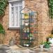 Mini-serre à 5 niveaux en acier pour jardin et terrasse avec bâche PVC, 69 x 49 x 193 cm, verte