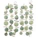 Boltze Home guirlande capiz fine 180cm groen