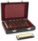 Gear4music Blues Gouden Mondharmonicaset
