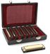 Gear4music Blues Gouden Mondharmonicaset