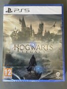 Warner Bros. Interactive hogwarts legacy PlayStation 5