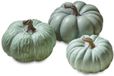 LOBERON Pompoen set van 3 Villazon groen