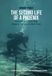 The Sidestone Press The Second Life of a Phoenix: Portrait of a Punic Ship Resurrected in a Sicilian Town Paperback