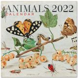 Grupo Erik Wandkalender 2022 Animals 30 x 30 cm Papier