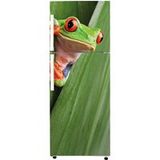 Stickers Frigo Grenouille 70x200 cm