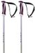 Volkl Phantastick Polen Argent 110 cm Femme