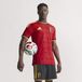 ADIDAS PERFORMANCE Tricot 'Belgium 26 Home Authentic' donkerbeige / geel / rood / zwart