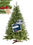 MENZ Kunstkerstboom 180 cm, testwinnaar 91/100. | Premium kunstdennenboom, natuurgetrouwe Nordmann-spar met 1.050 takpunten, Ø 115 cm, houten standaard