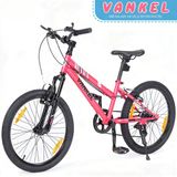 Vélo de montagne pour filles - vélo d'enfant - roues de 50 cm - 6 vitesses - léger - dérailleur - freins en V doubles - rose