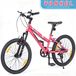 Vélo de montagne pour filles - vélo d'enfant - roues de 50 cm - 6 vitesses - léger - dérailleur - freins en V doubles - rose