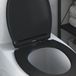 vidaXL Toiletbril Zwart Duroplast 45,5 x 37,5 x 3,8 cm
