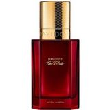 Davidoff Saffraan Mineraal Parfum Intens Spray / 100 / Unisex