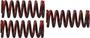 TRW koppelingsveer set "mef3" clutch spring kit mef324-3