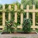 vidaXL Plantenstaken 30 st 60 cm staal groen