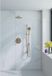 Fortifura Calvi inbouw regendoucheset – Ø25 cm hoofddouche – 35 cm gebogen wandarm – 1-stands ronde handdouche – messing geborsteld