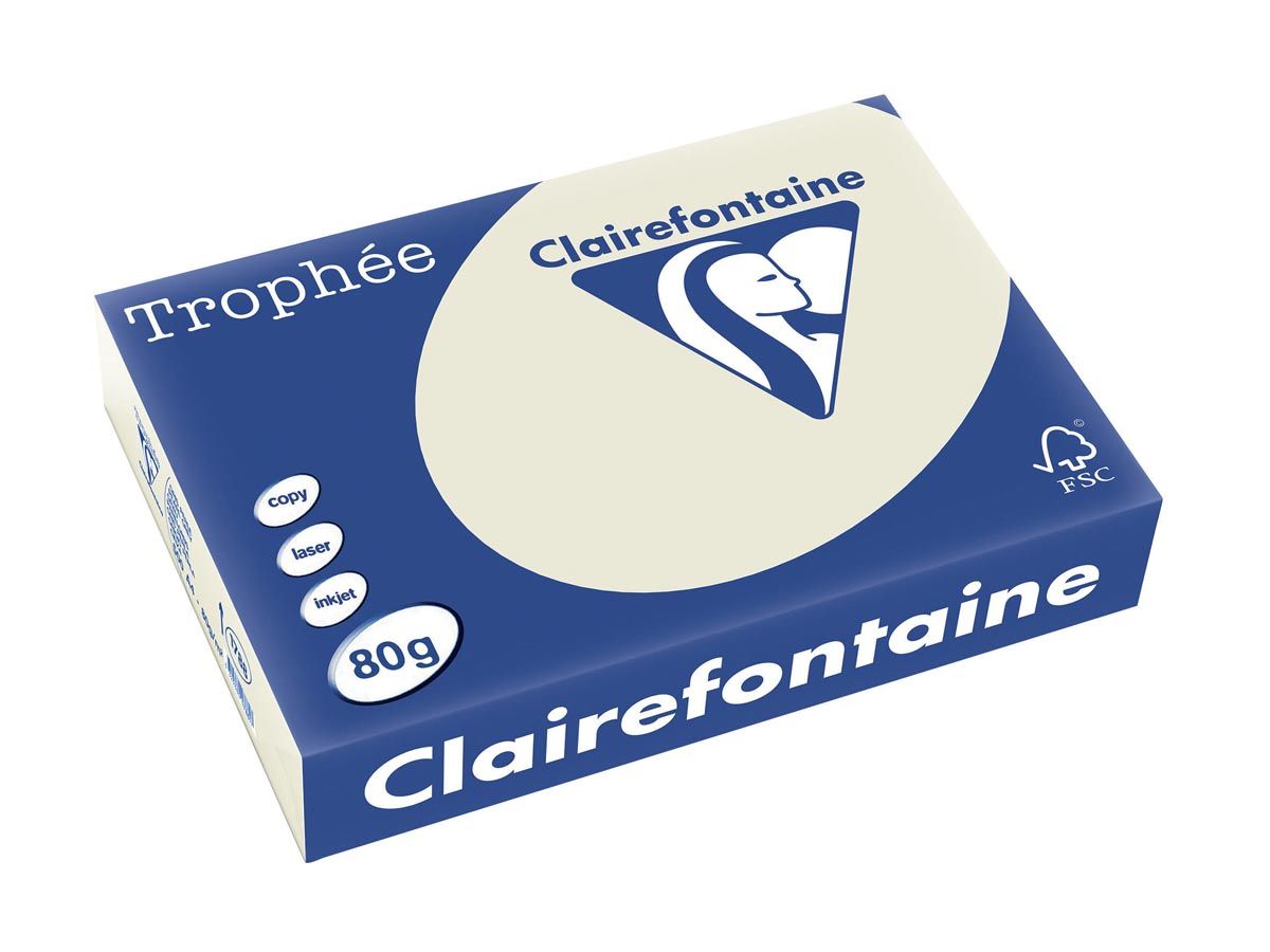 Clairefontaine Trophée Pastel A4 parelgrijs 80 g 500 vel