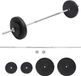 vidaXL Set haltères avec poids, 30 kg